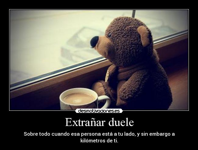 carteles extranar desmotivaciones