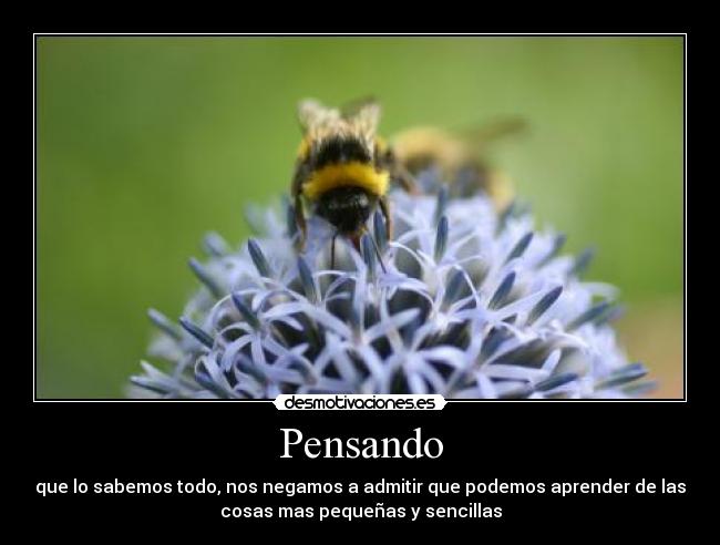 carteles aprender las cosas pequenas desmotivaciones