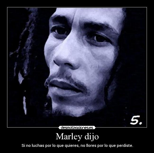 carteles bobmarley desmotivaciones