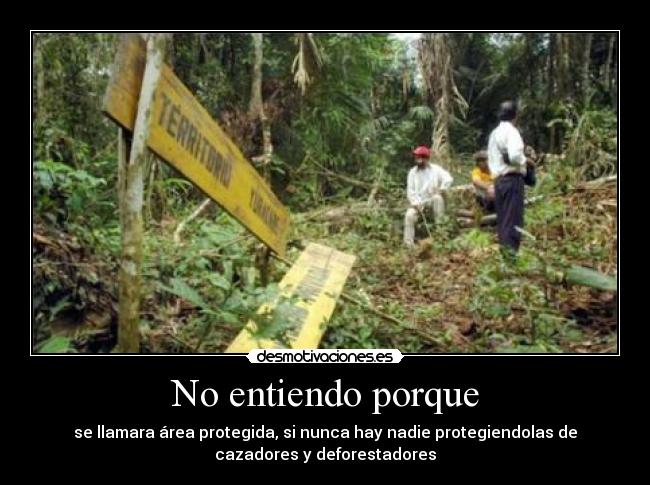 No entiendo porque -