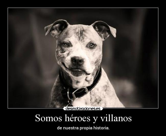 Somos héroes y villanos - de nuestra propia historia.