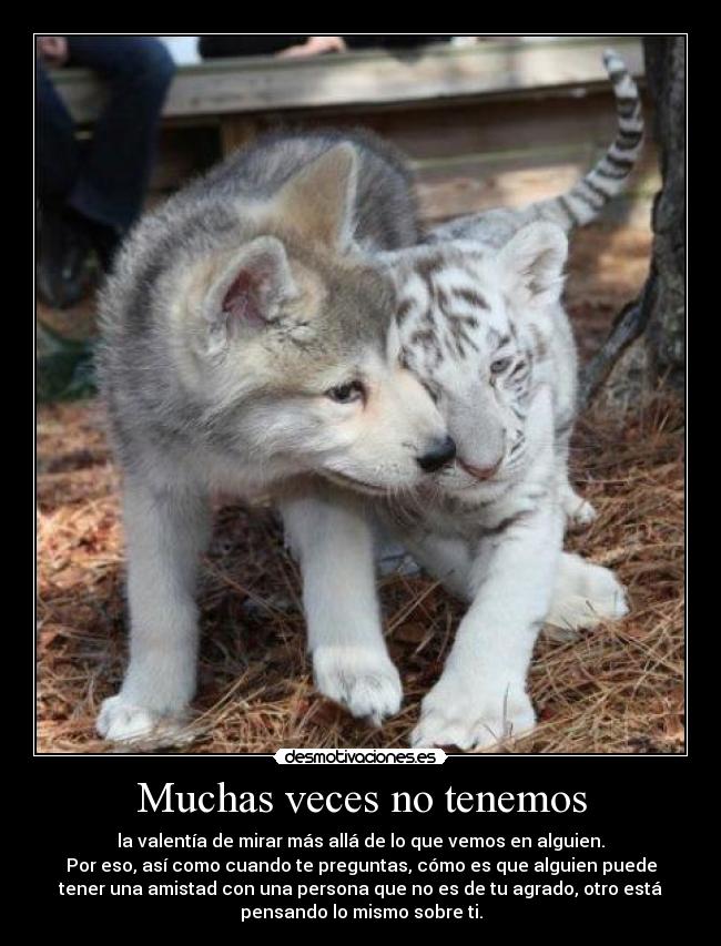 Muchas veces no tenemos - la valentía de mirar más allá de lo que vemos en alguien.
Por eso, así como cuando te preguntas, cómo es que alguien puede
tener una amistad con una persona que no es de tu agrado, otro está
pensando lo mismo sobre ti.