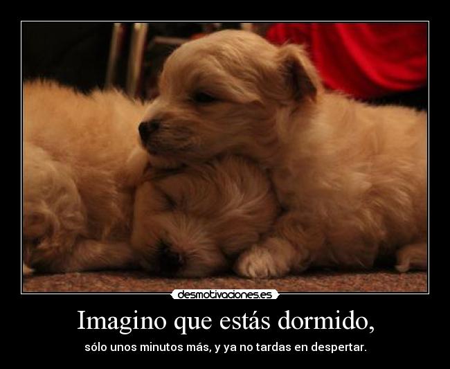 Imagino que estás dormido, - sólo unos minutos más, y ya no tardas en despertar.