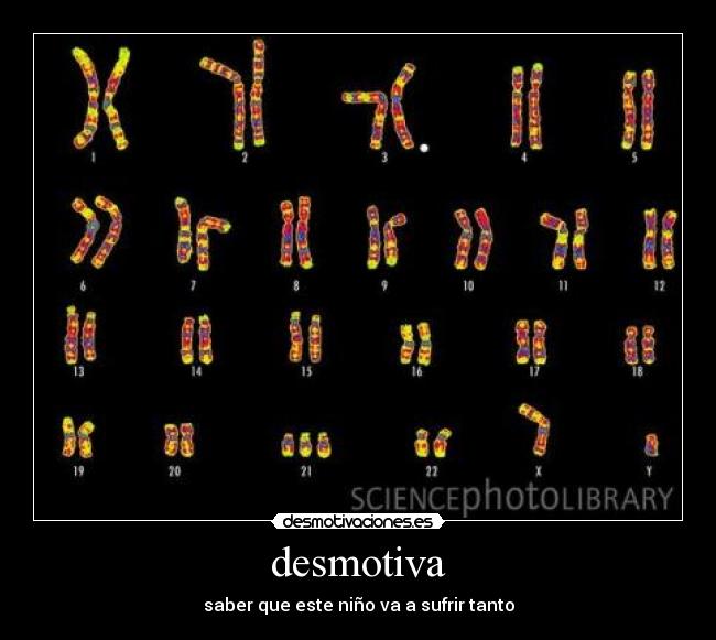 desmotiva - 