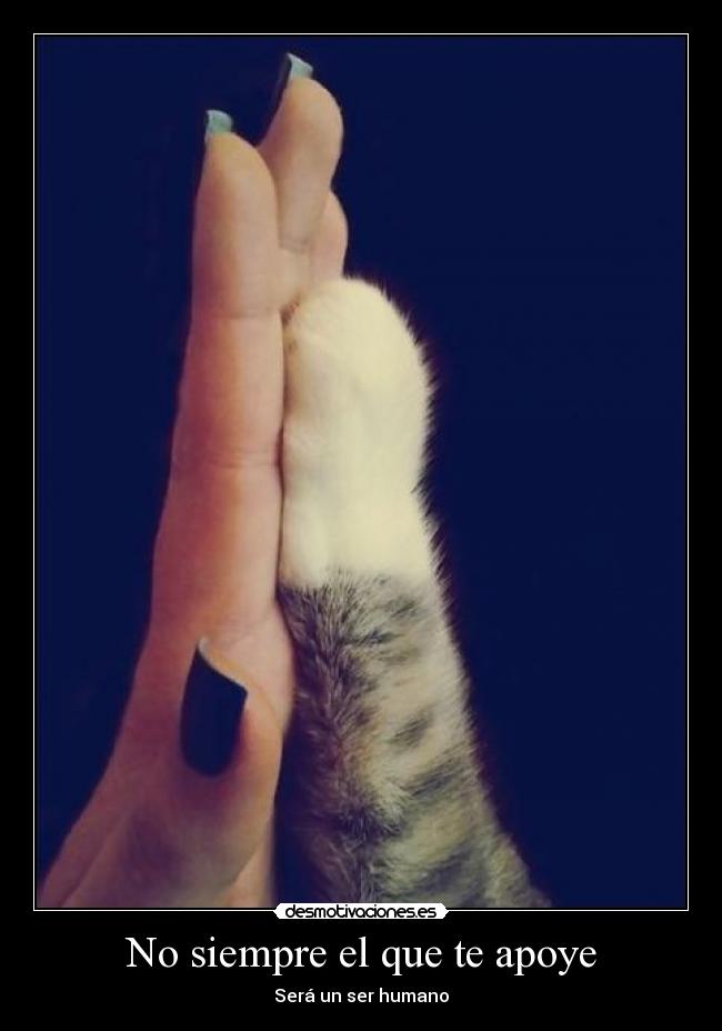 No siempre el que te apoye -
