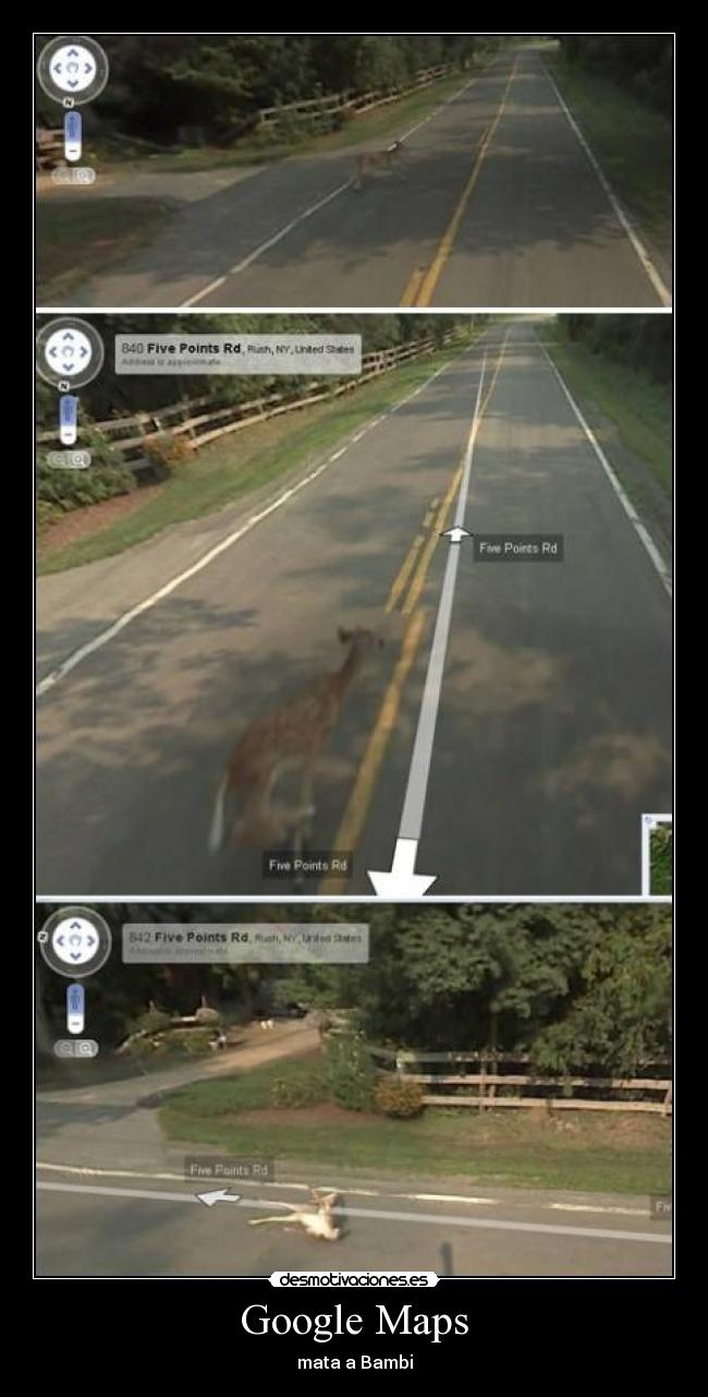 Google Maps - mata a Bambi