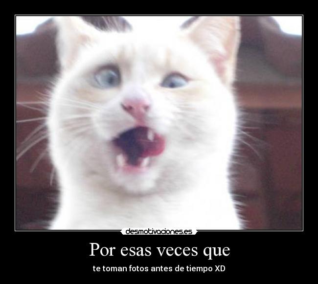 Por esas veces que - te toman fotos antes de tiempo XD