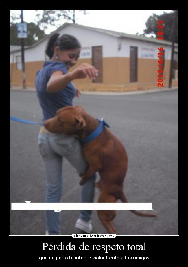 Pérdida de respeto total - que un perro te intente violar frente a tus amigos