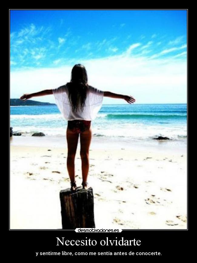 Necesito olvidarte -