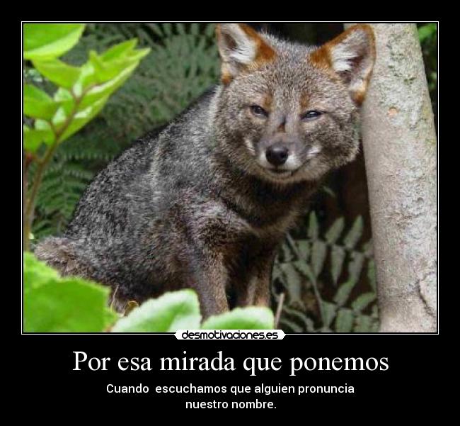 Por esa mirada que ponemos - Cuando  escuchamos que alguien pronuncia
nuestro nombre.