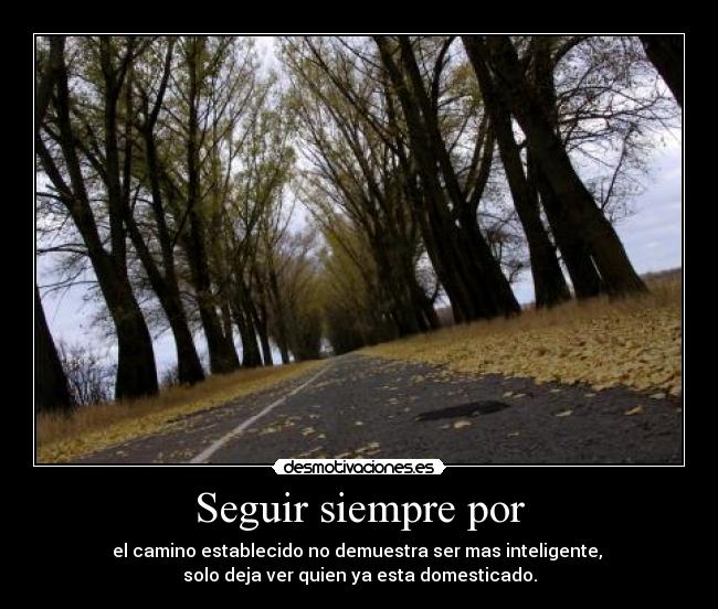 Seguir siempre por - el camino establecido no demuestra ser mas inteligente,
solo deja ver quien ya esta domesticado.