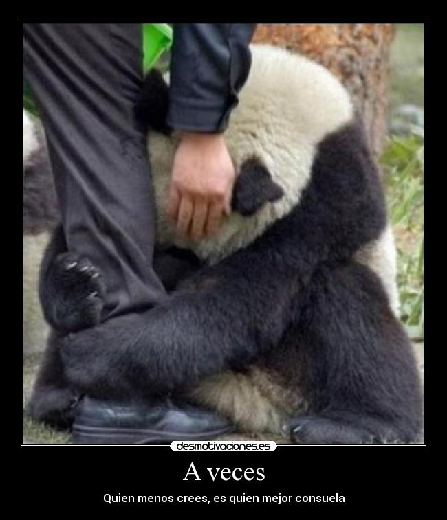 A veces - Quien menos crees, es quien mejor consuela