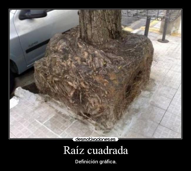 Raíz cuadrada - Definición gráfica.