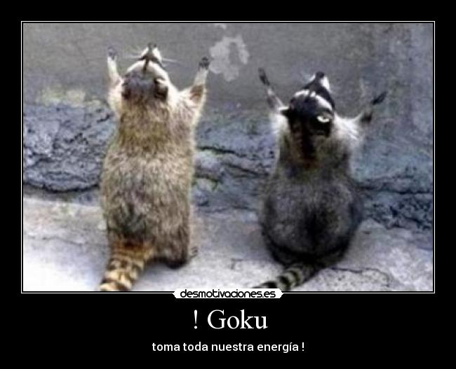 ! Goku - toma toda nuestra energía !
