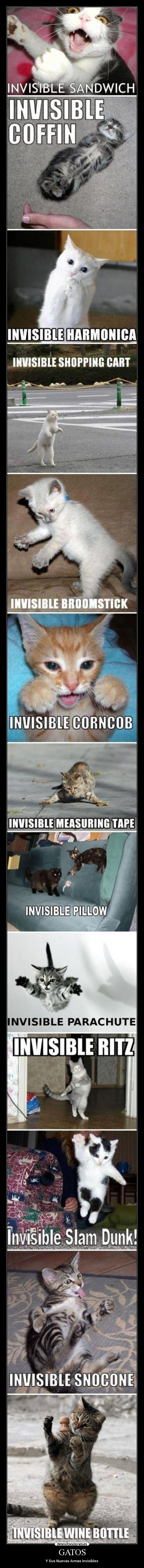 GATOS - Y Sus Nuevas Armas Invisibles