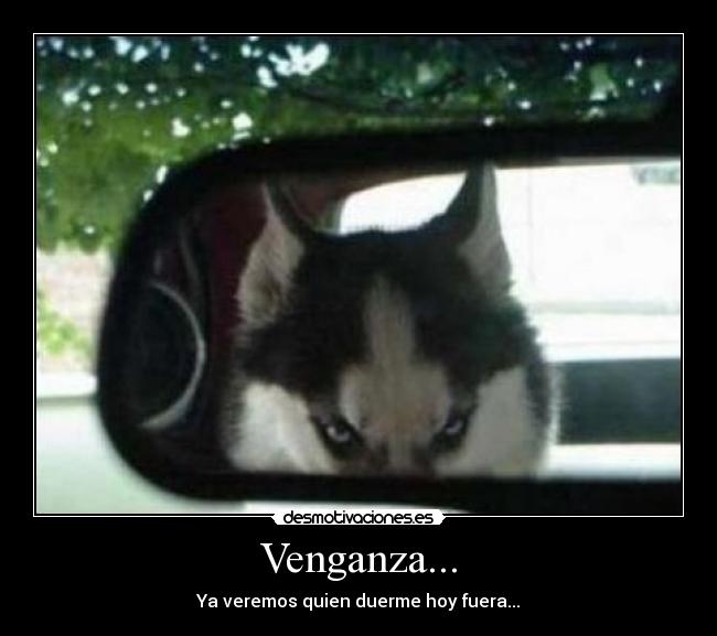 Venganza... -