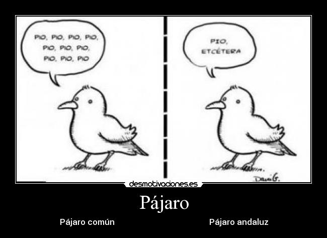 Pájaro - Pájaro común                                               Pájaro andaluz