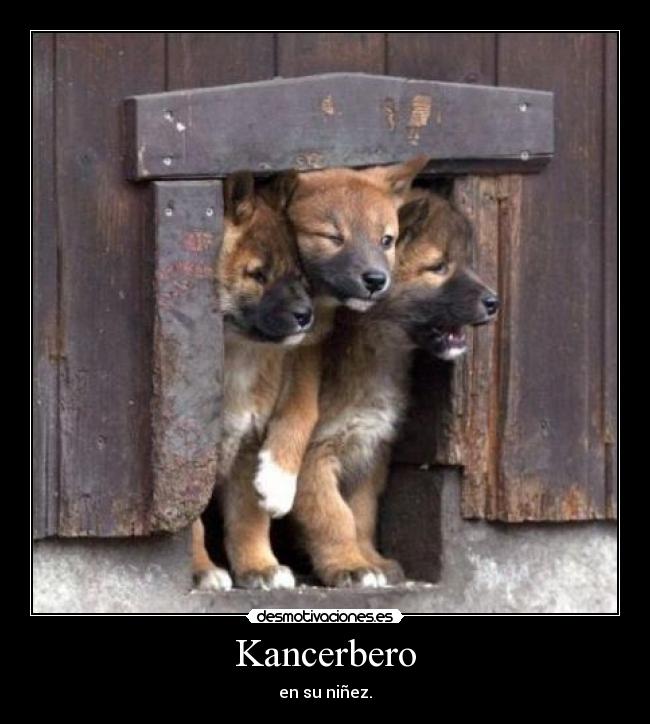Kancerbero -