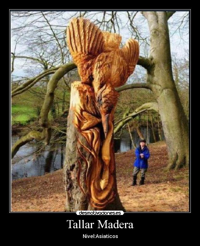 Tallar Madera - 
