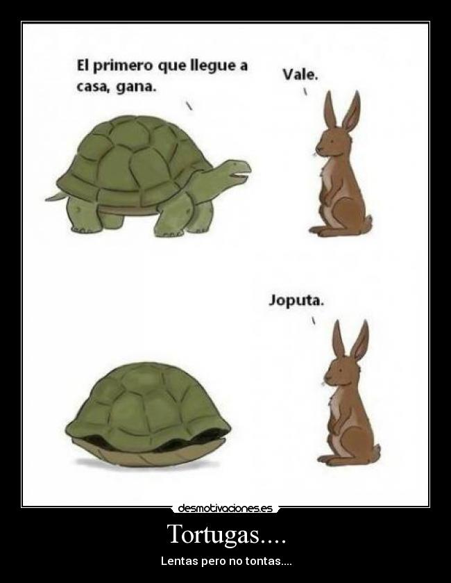 Tortugas.... -
