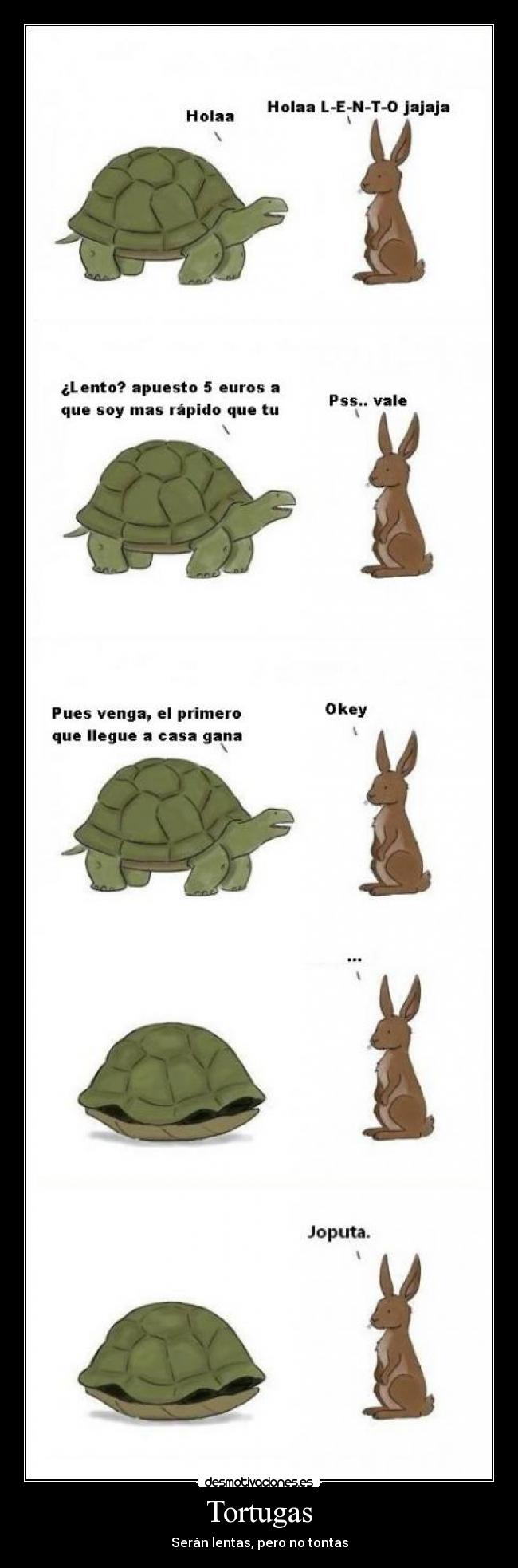 Tortugas - Serán lentas, pero no tontas