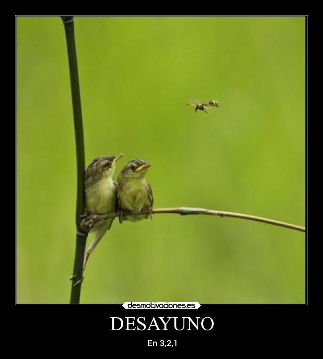 carteles davidpozo2020 desmotivaciones