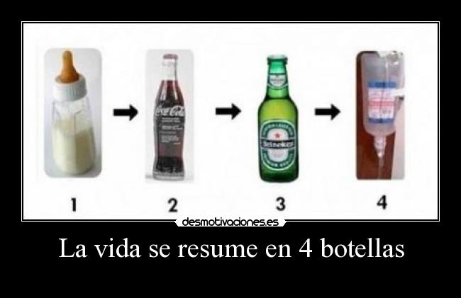 La vida se resume en 4 botellas - 