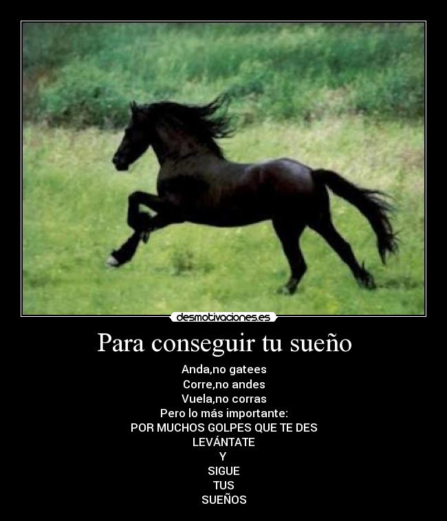 Para conseguir tu sueño -