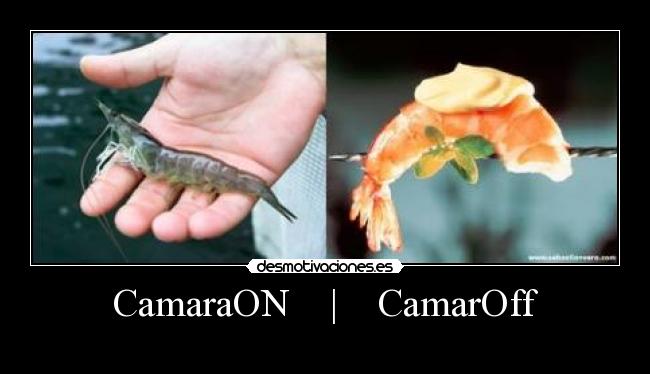 CamaraON    |    CamarOff - 
