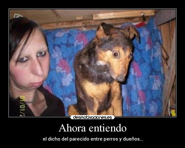 Ahora entiendo - 