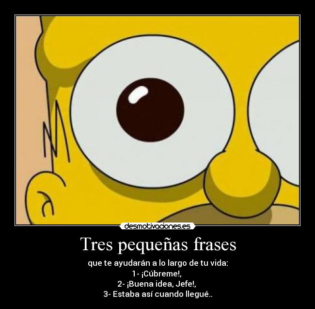 Tres pequeñas frases - que te ayudarán a lo largo de tu vida:
1- ¡Cúbreme!,
2- ¡Buena idea, Jefe!,
3- Estaba así cuando llegué..