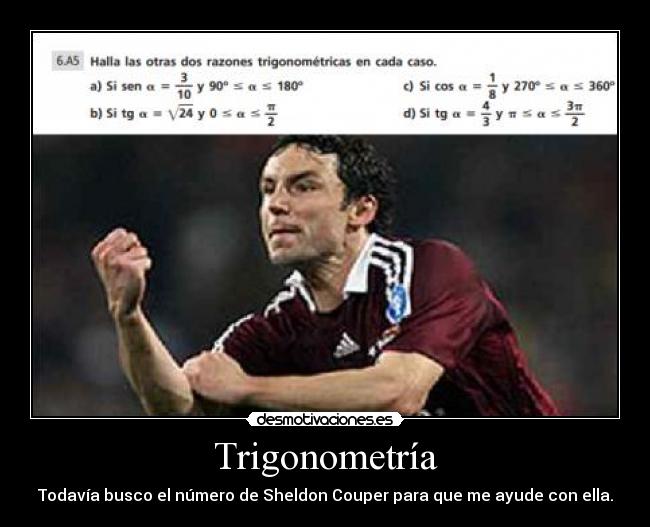 carteles sheldon couper trigonometria desmotivaciones
