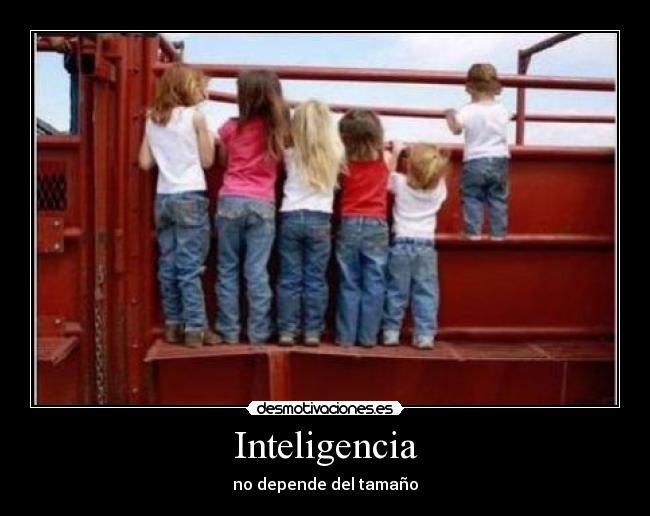 Inteligencia - 