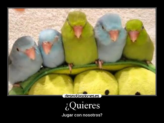 ¿Quieres -