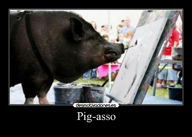 Pig-asso - 