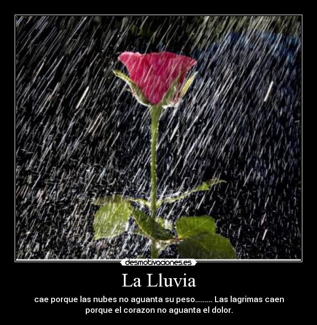 La Lluvia - cae porque las nubes no aguanta su peso......... Las lagrimas caen
porque el corazon no aguanta el dolor.