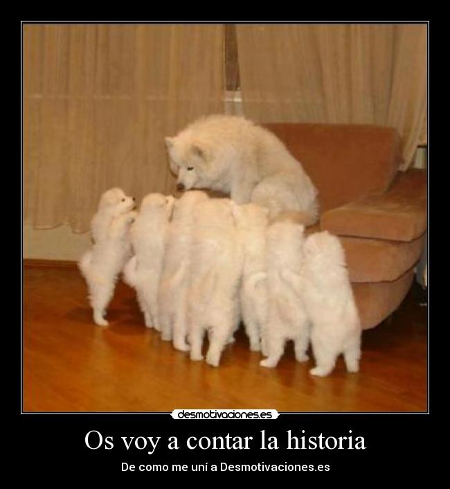 Os voy a contar la historia - 