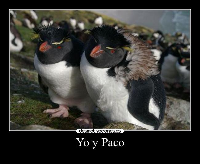Yo y Paco - 
