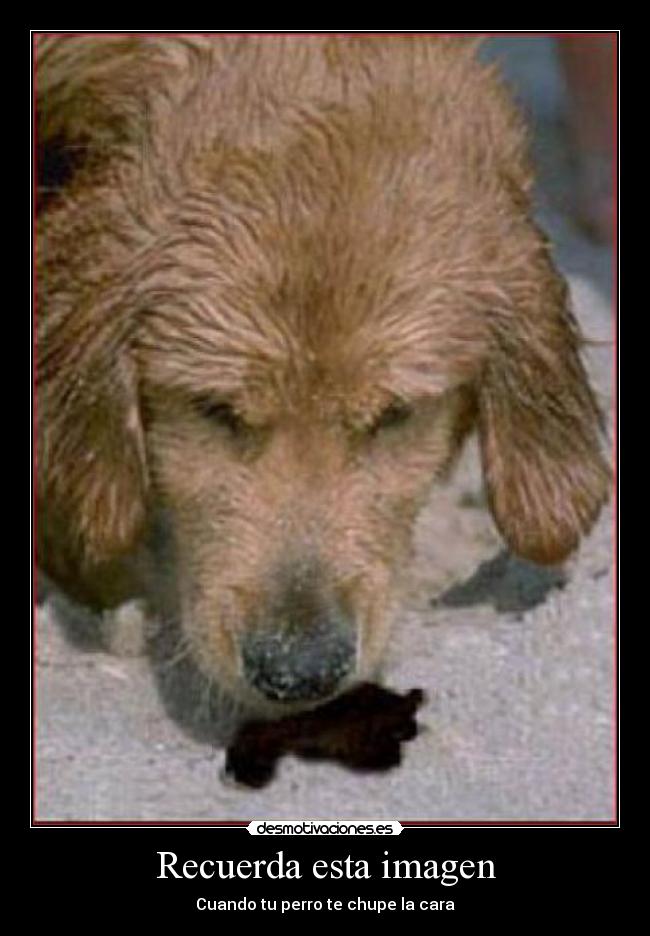Recuerda esta imagen - 