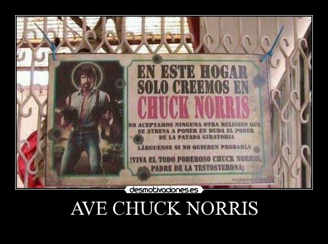 AVE CHUCK NORRIS -