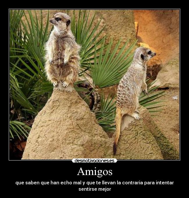 Amigos - que saben que han echo mal y que te llevan la contraria para intentar sentirse mejor