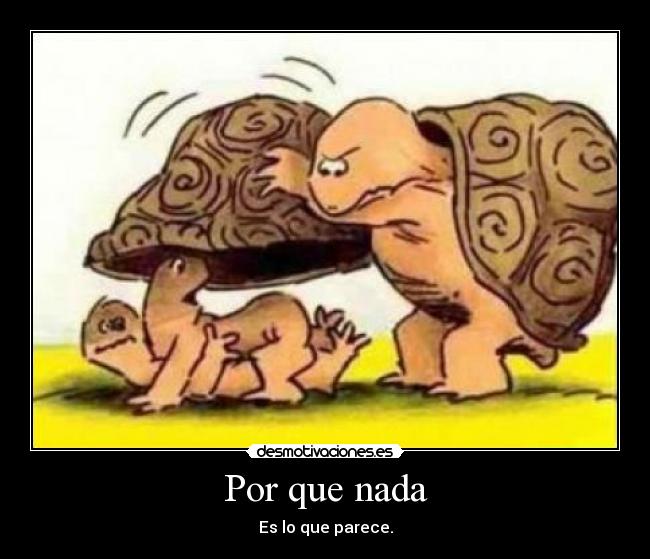 Por que nada - Es lo que parece.