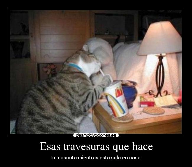 Esas travesuras que hace -