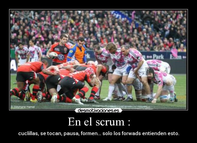 En el scrum : - cuclillas, se tocan, pausa, formen... solo los forwads entienden esto.