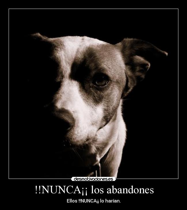 carteles gusta estas contra maltrato abandono animal desmotivaciones