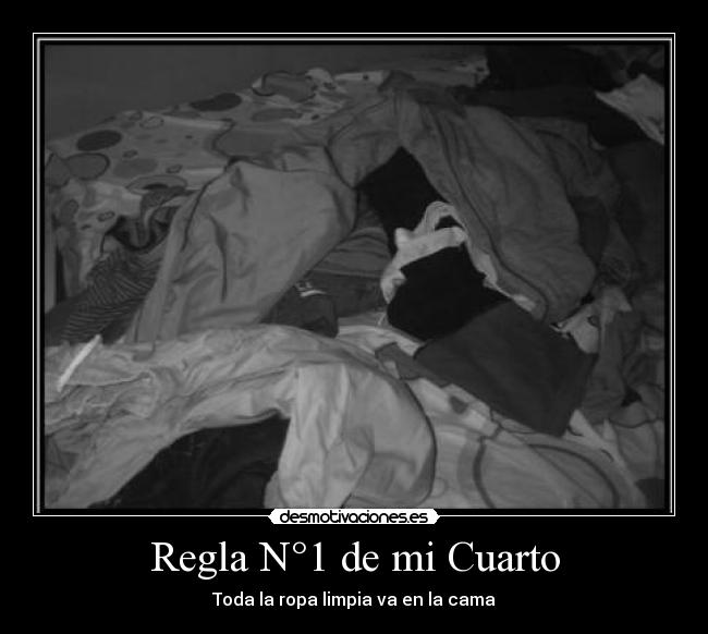 carteles ropa limpia casa cuatro leyes desmotivaciones