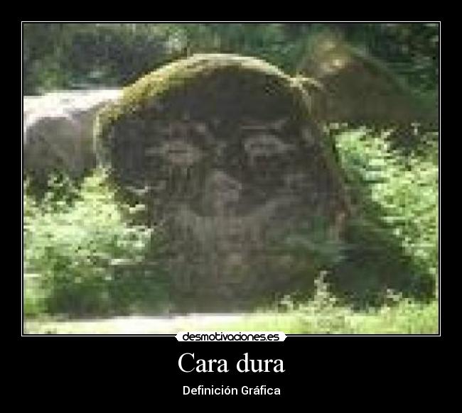 Cara dura -