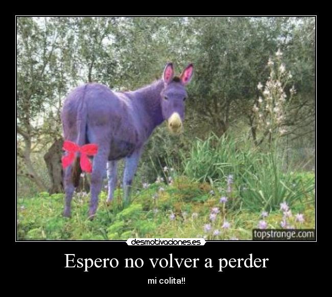 Espero no volver a perder - mi colita!!