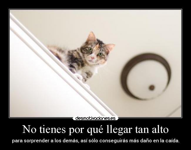 No tienes por qué llegar tan alto - 
