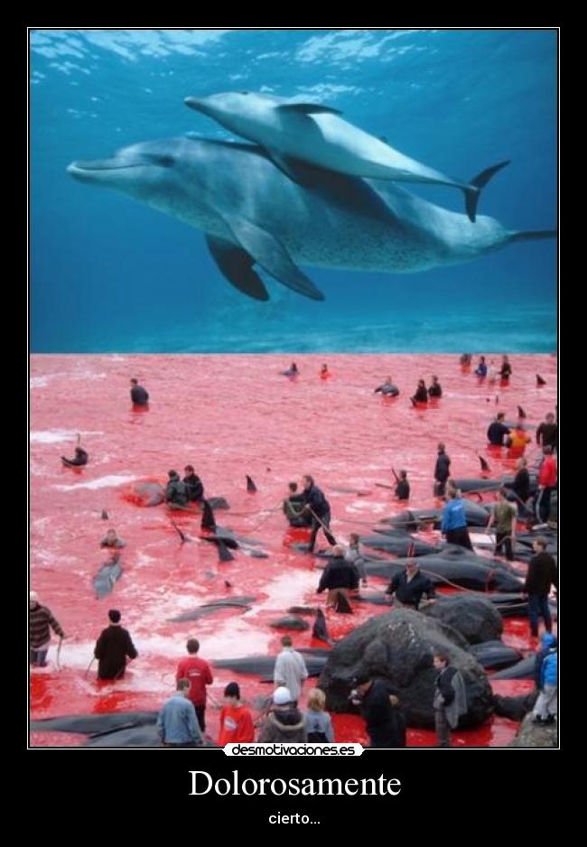 Dolorosamente - cierto...